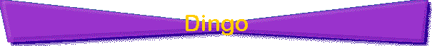 Dingo