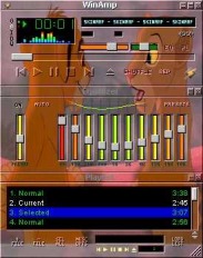 skin winamp Roi Lion